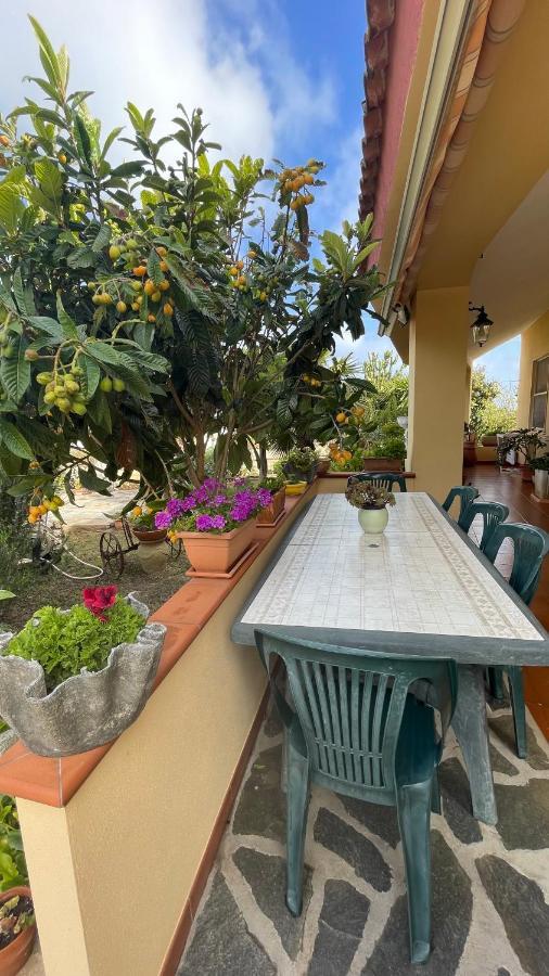 Bed and Breakfast La Mansarda Biancareddu Exterior foto