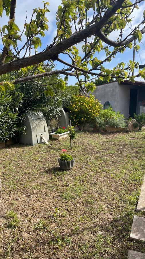 Bed and Breakfast La Mansarda Biancareddu Exterior foto